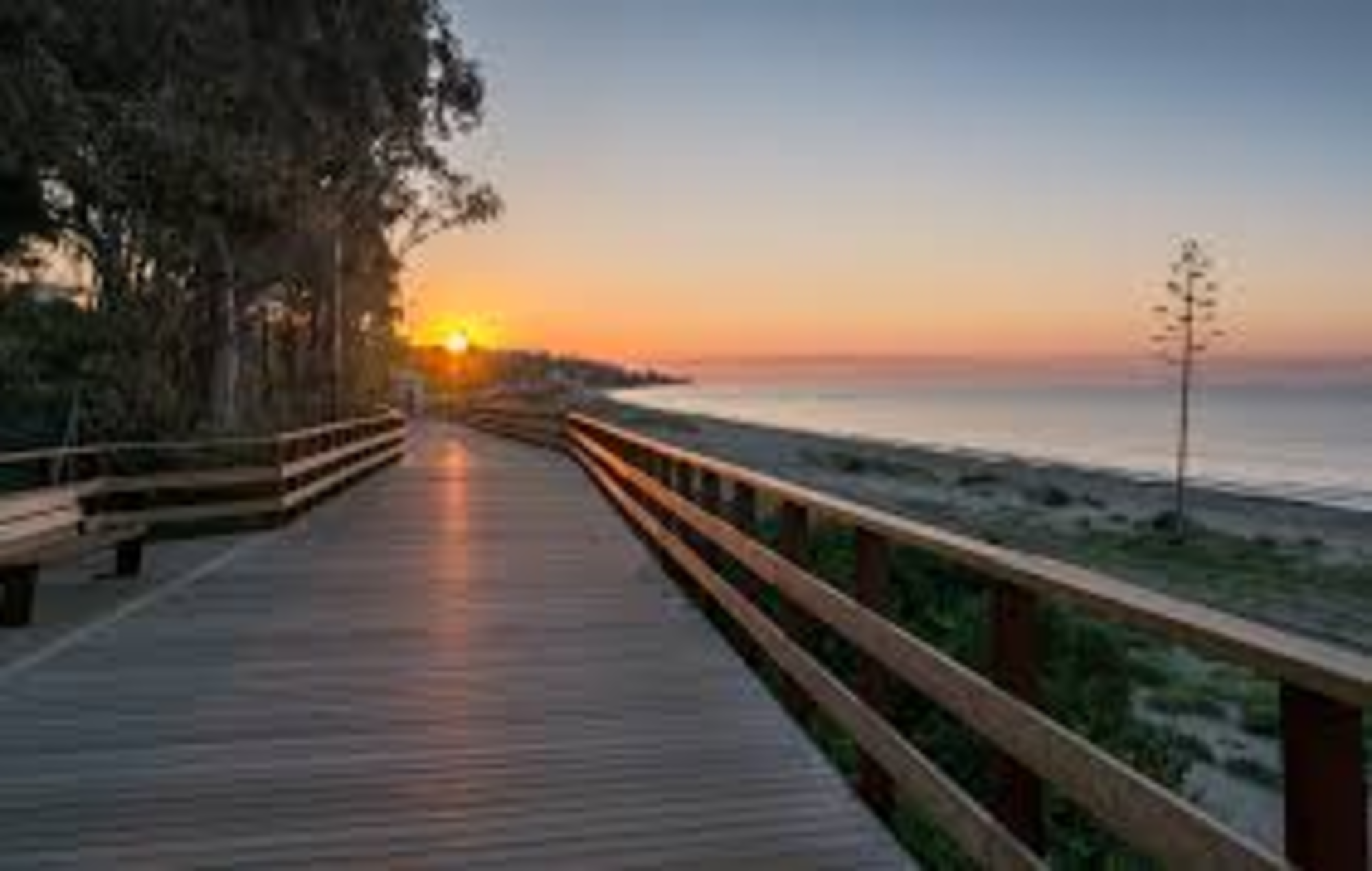 Image pour Le Paseo Maritimo